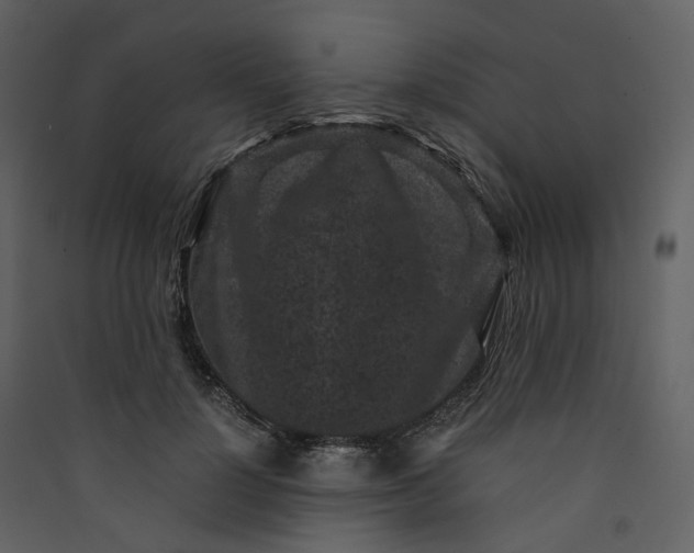 X0000089950748200707131515