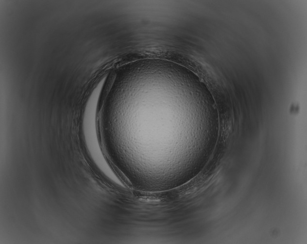 X0000089950749200707131515
