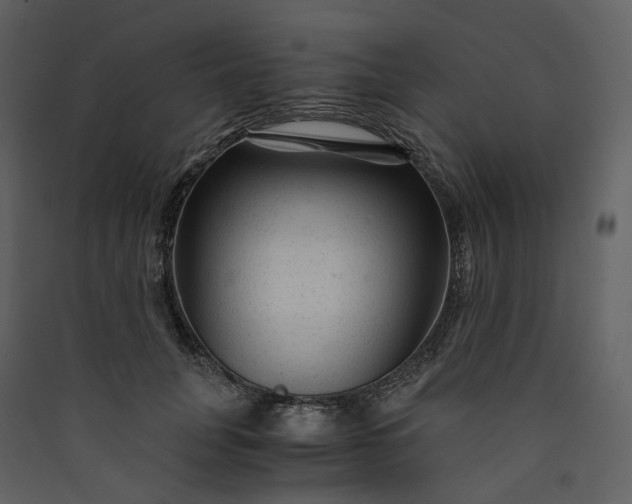 X0000089950751200707131515