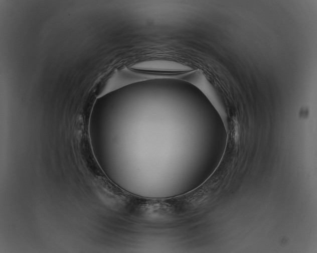 X0000089950752200707131515