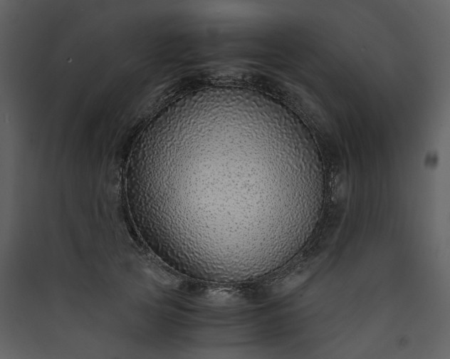 X0000089950753200707131515
