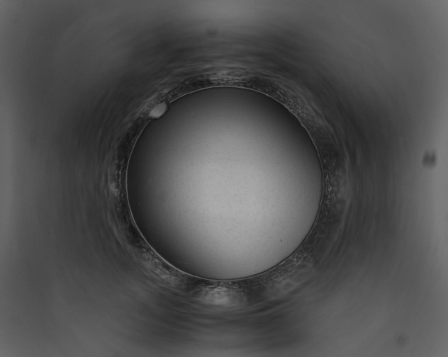 X0000089950755200707131515