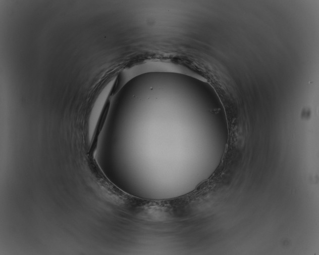 X0000089950756200707131515