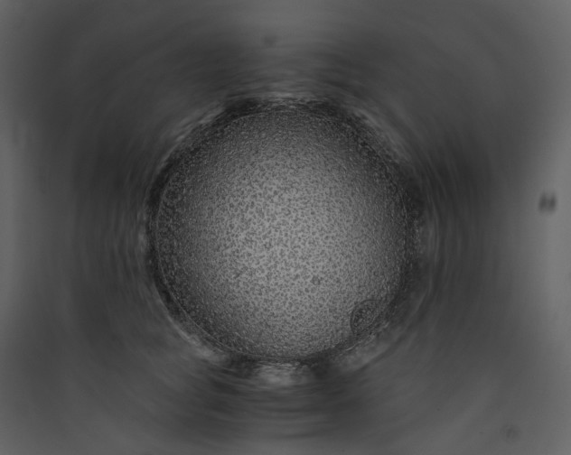 X0000089950757200707131515