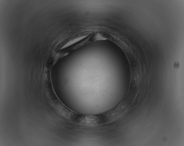 X0000089950758200707131515