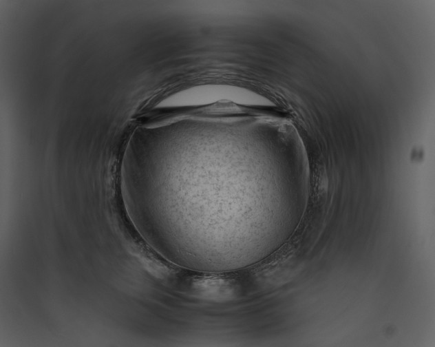 X0000089950759200707131515