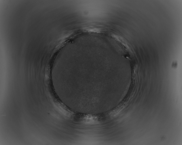 X0000089950760200707131515