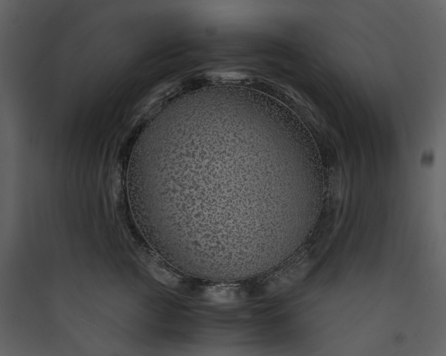 X0000089950761200707131515