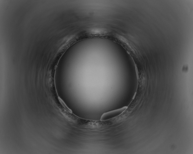 X0000089950764200707131515
