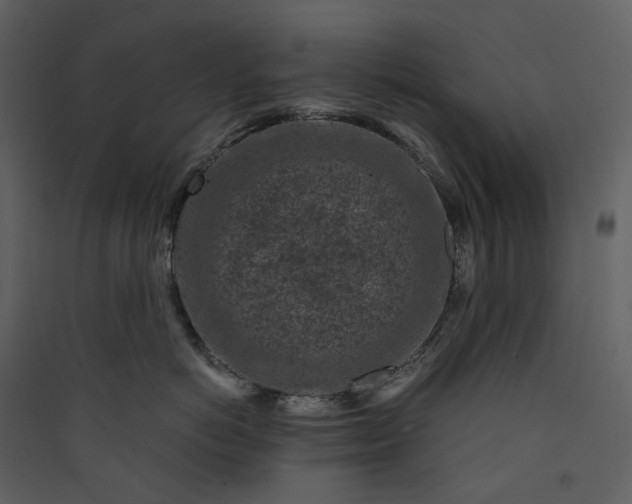 X0000089950766200707131515