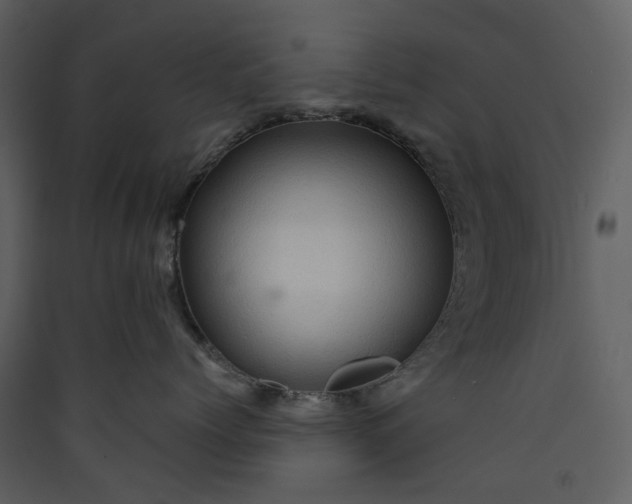 X0000089950768200707131515