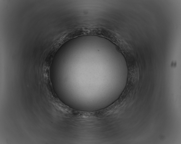 X0000089950770200707131515