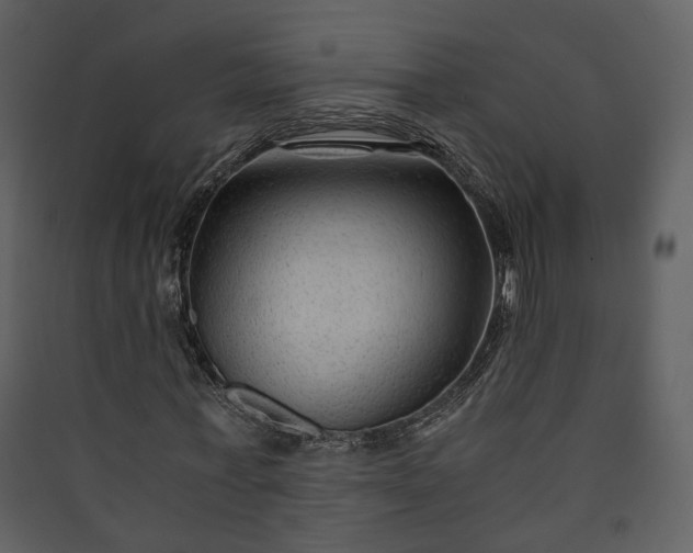 X0000089950771200707131515