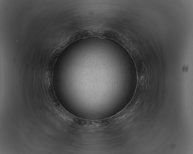 X0000089950772200707131515