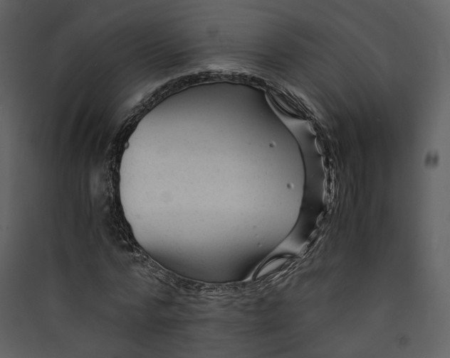 X0000089950776200707131515