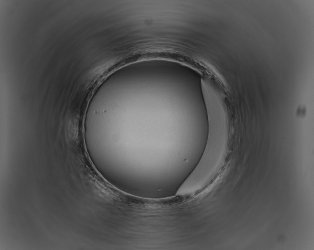 X0000089950777200707131515