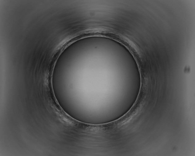 X0000089950778200707131515