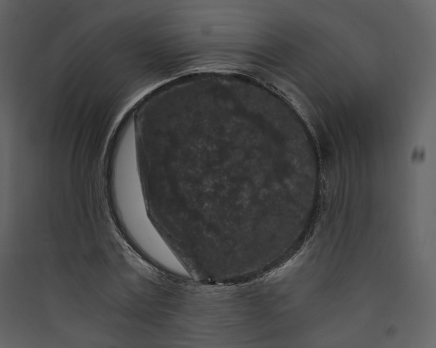 X0000089950779200707131515