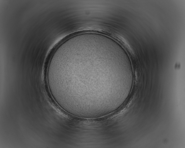 X0000089950780200707131515