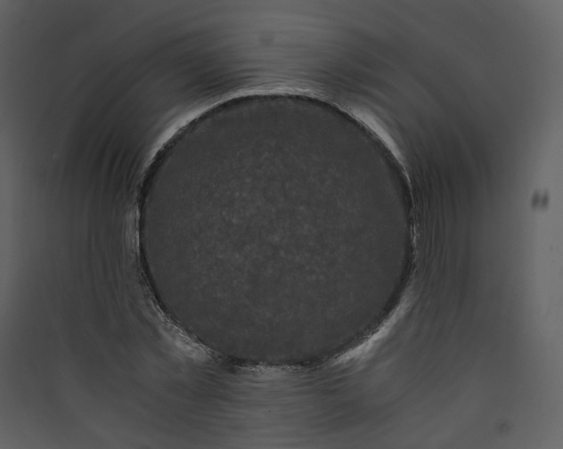 X0000089950781200707131515