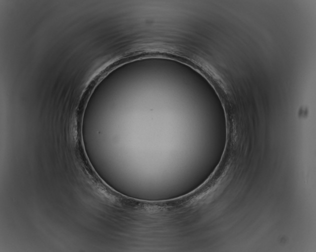 X0000089950782200707131515