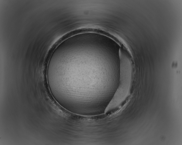 X0000089950783200707131515