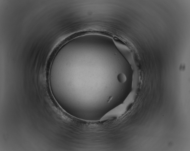X0000089950784200707131515