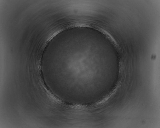 X0000089950785200707131515