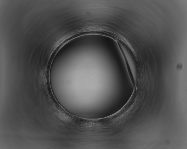 X0000089950786200707131514