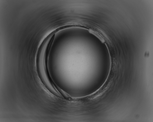 X0000089950788200707131514