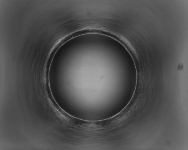 X0000089950791200707131514