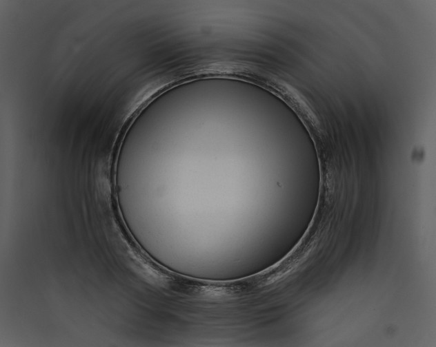X0000089950794200707131514