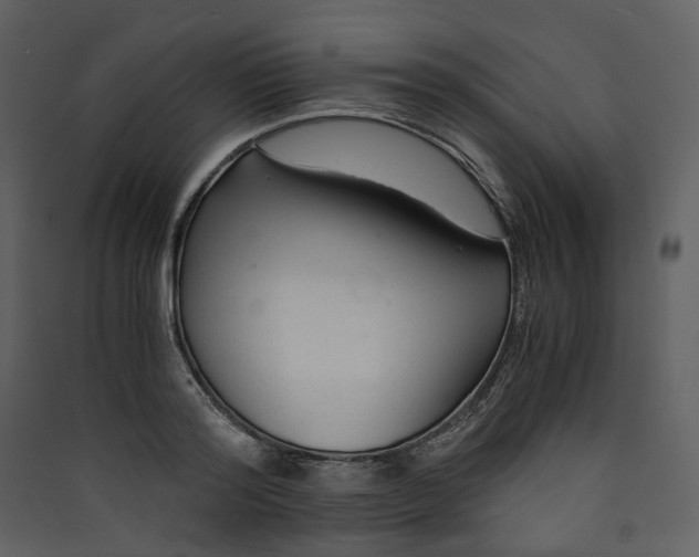 X0000089950796200707131514