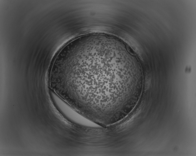 X0000089950798200707131514