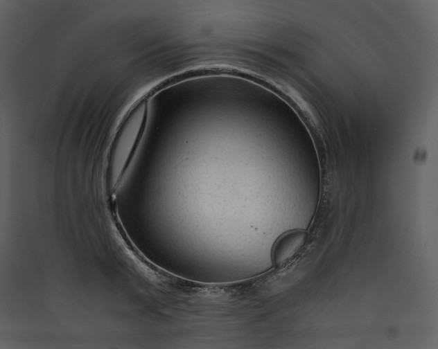 X0000089950799200707131514