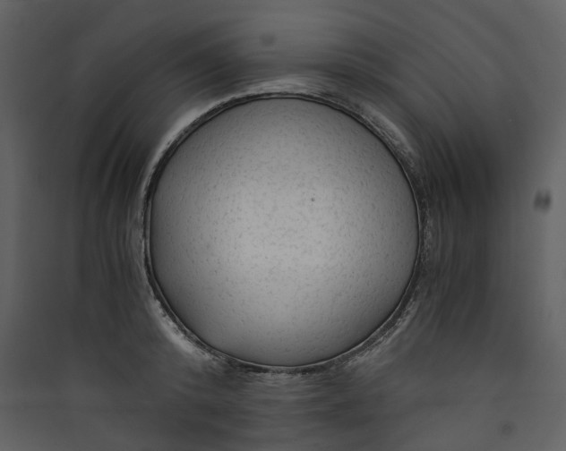 X0000089950800200707131514