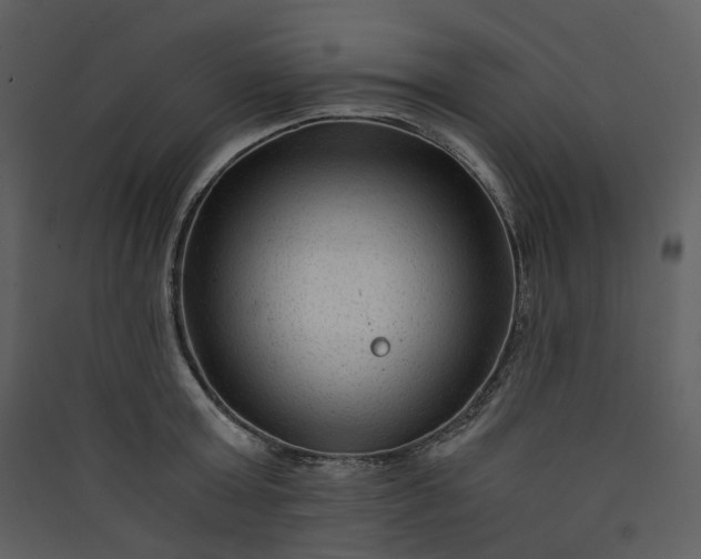 X0000089950803200707131514