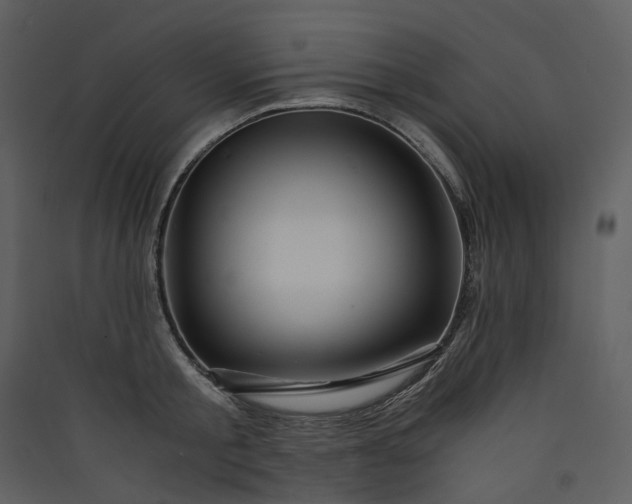 X0000089950805200707131514