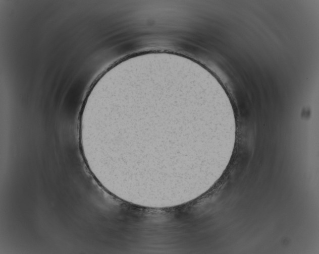 X0000089950807200707131514