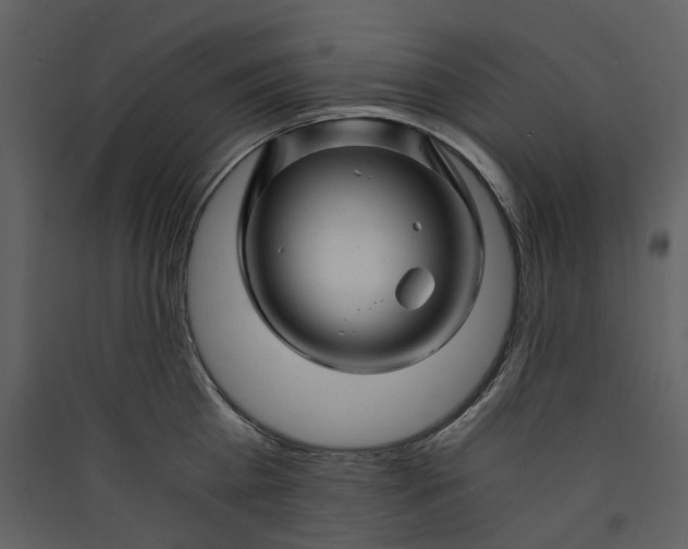 X0000089950809200707131514