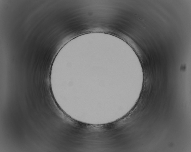 X0000089950810200707131514