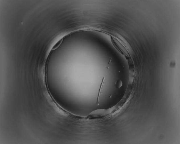 X0000089950812200707131514