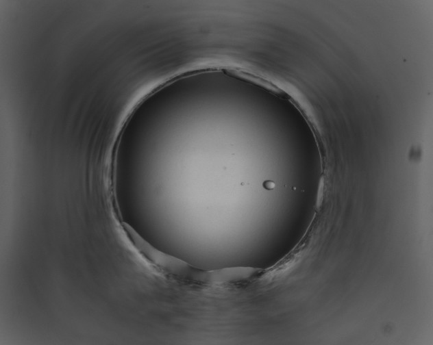 X0000089950815200707131514