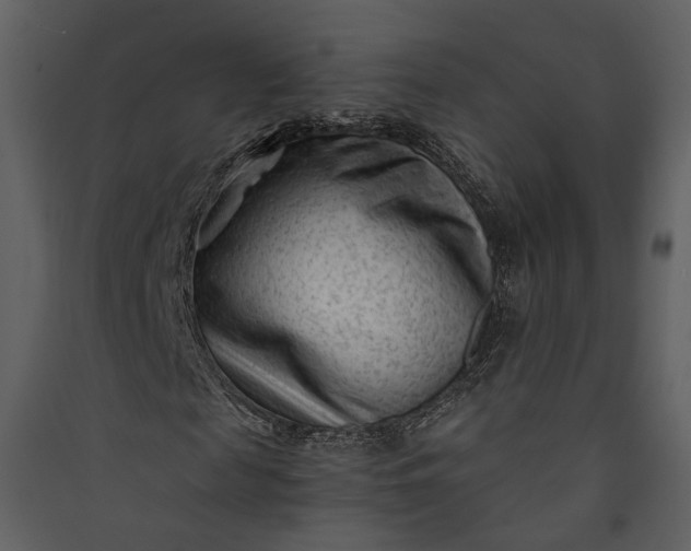 X0000089950817200707131514