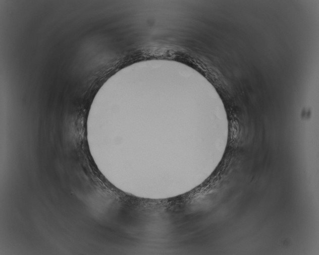 X0000089950820200707131514