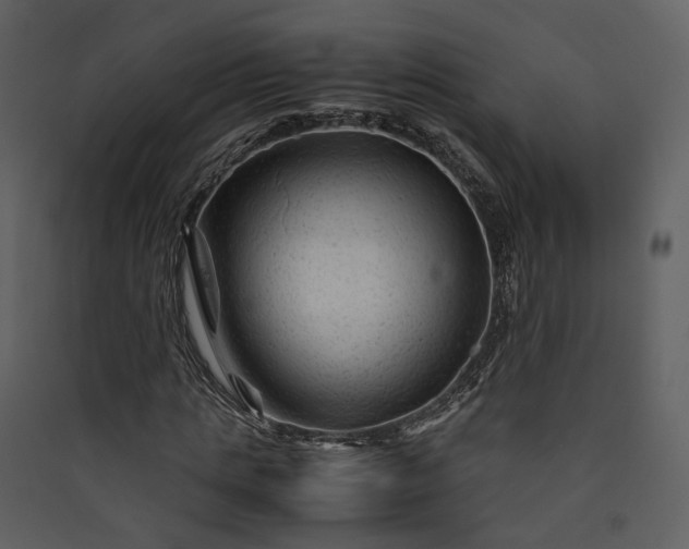 X0000089950821200707131514