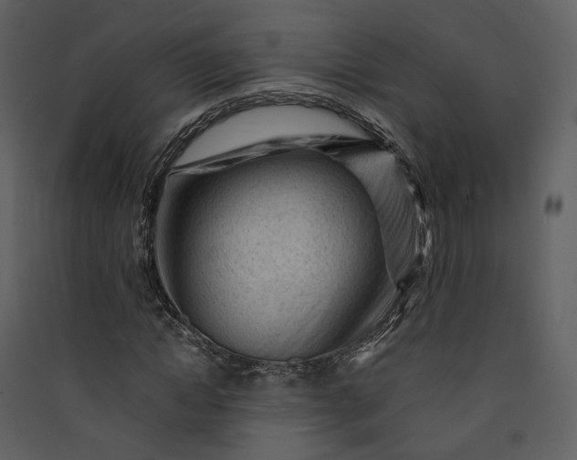 X0000089950822200707131514