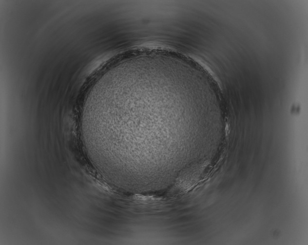 X0000089950823200707131514