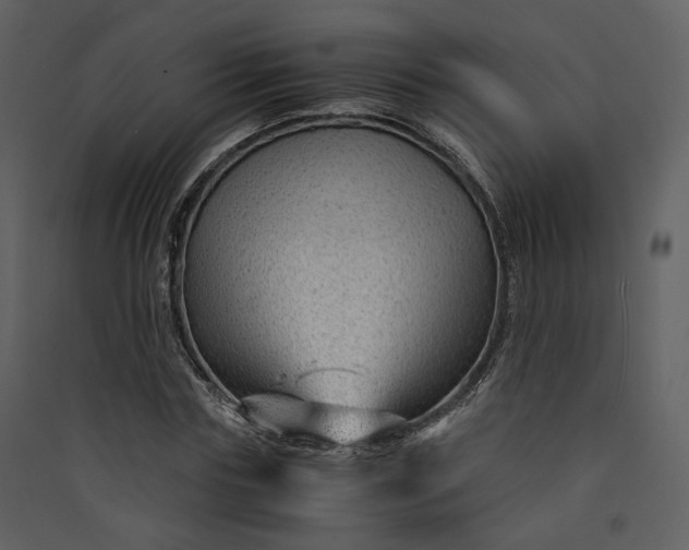 X0000089950827200707131514