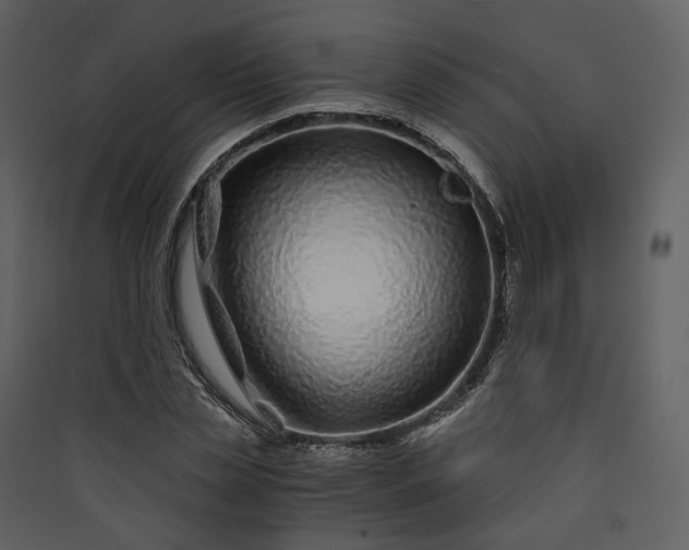X0000089950829200707131514